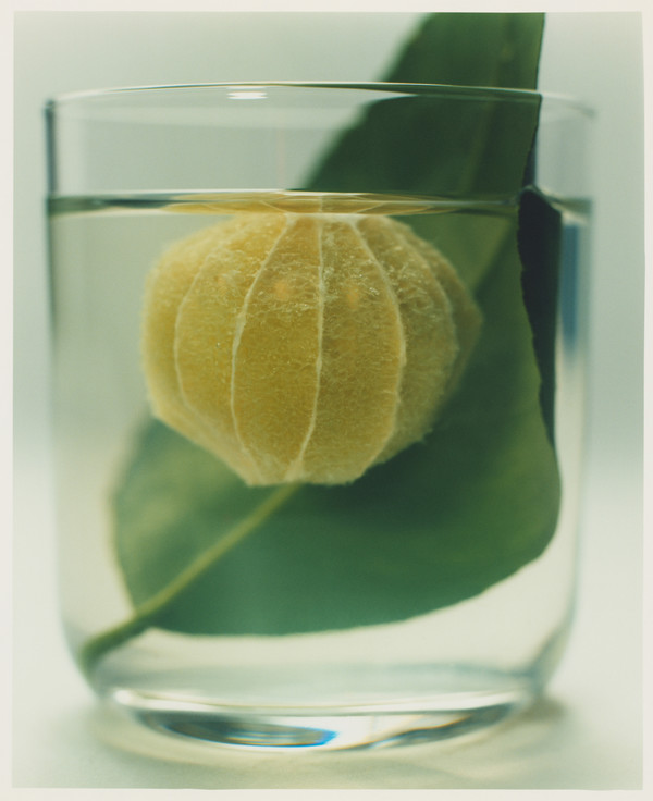 Atelier Cologne - © Lambert | Lambert