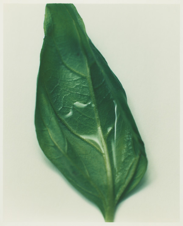 Atelier Cologne - © Lambert | Lambert