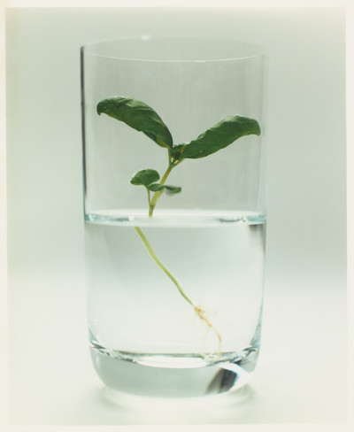 Atelier Cologne - © Lambert | Lambert