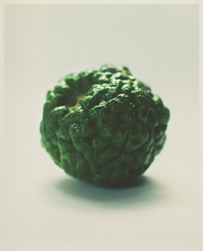 Atelier Cologne - © Lambert | Lambert