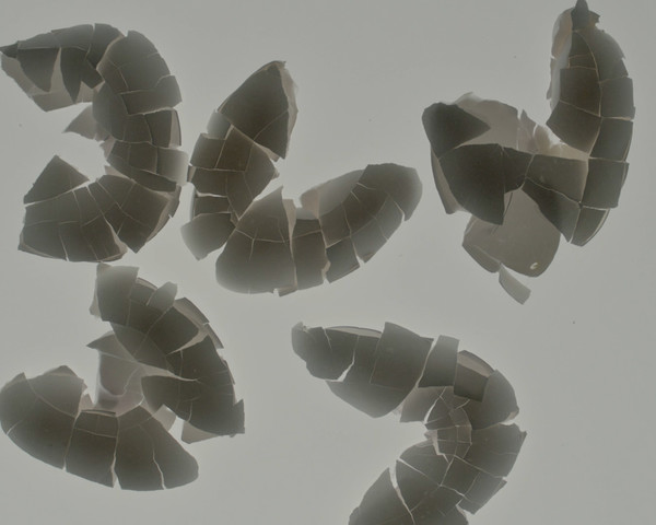 Blanc - Jade Lombard - © Lambert | Lambert