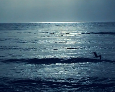 Bleu - Jade Lombard - © Lambert | Lambert