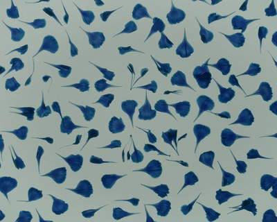 Bleu - Jade Lombard - © Lambert | Lambert