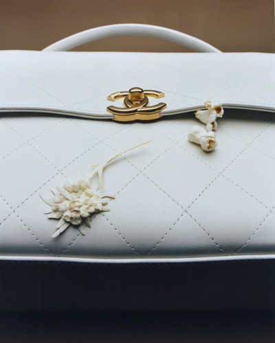 Bolero Bags - © Lambert | Lambert