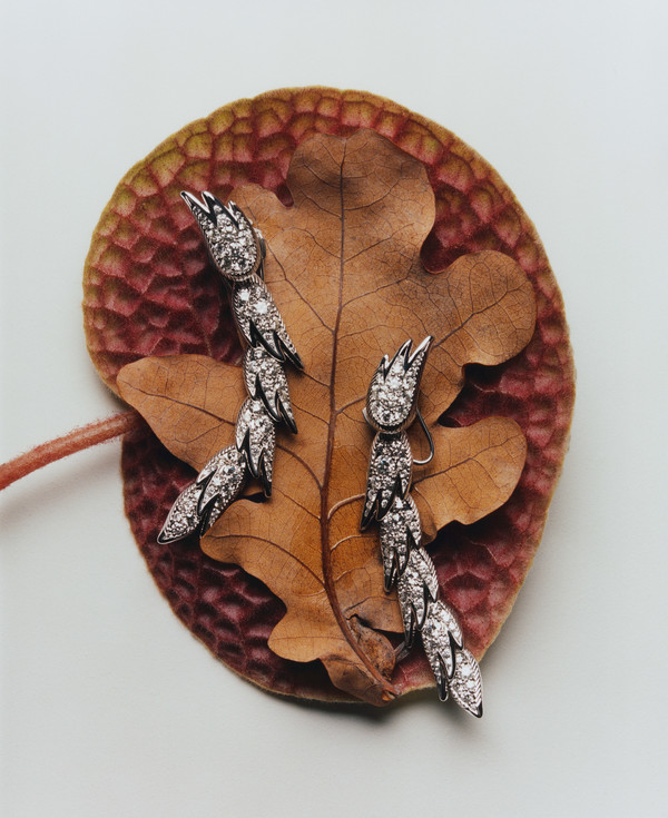 Bolero Magazine - © Lambert | Lambert