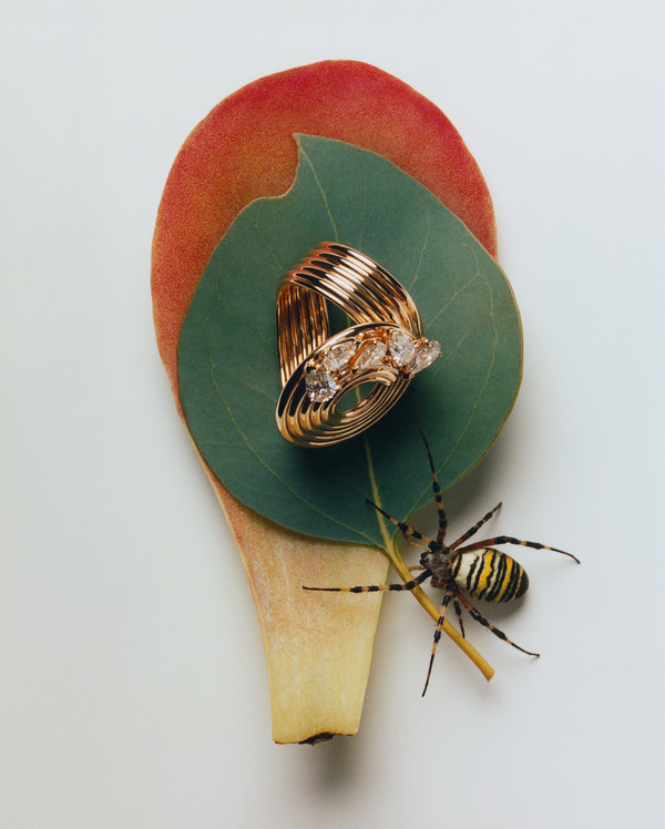 Bolero Magazine - © Lambert | Lambert