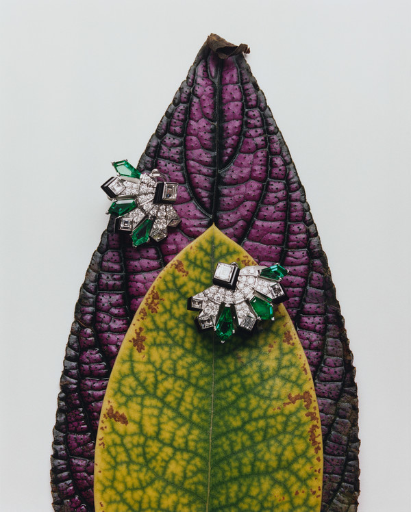 Bolero Magazine - © Lambert | Lambert