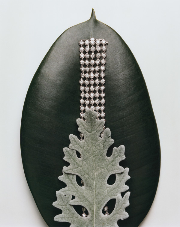 Bolero Magazine - © Lambert | Lambert