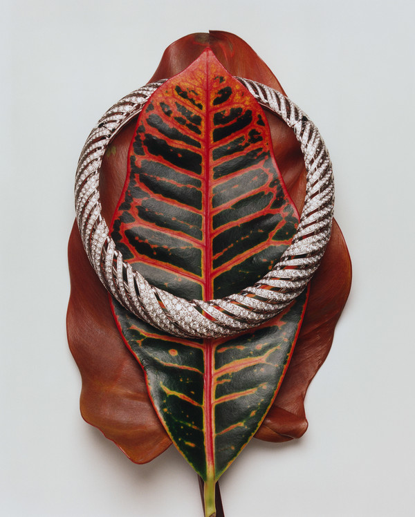 Bolero Magazine - © Lambert | Lambert