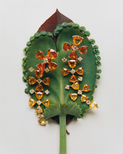 Bolero Magazine - © Lambert | Lambert