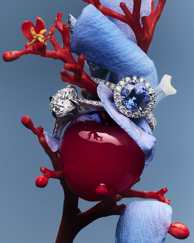 Bucherer - © Lambert | Lambert