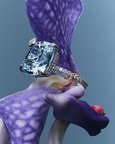 Bucherer - © Lambert | Lambert