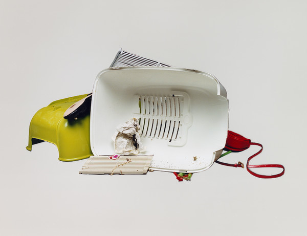 Buffalo Zine - © Lambert | Lambert