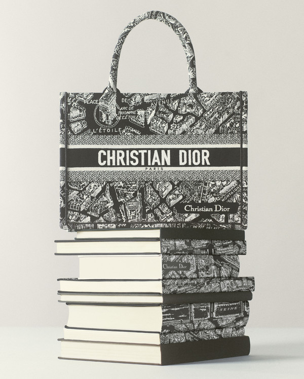 Dior Book Tote - © Lambert | Lambert