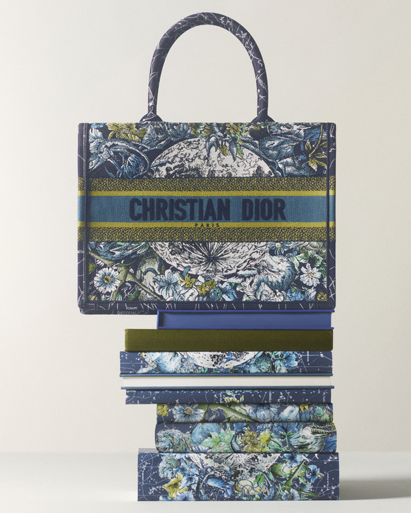 Dior Book Tote - © Lambert | Lambert