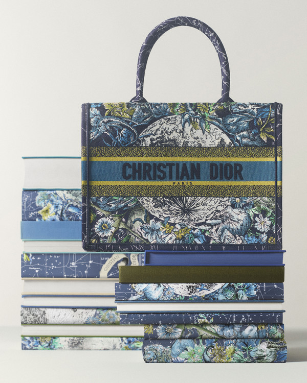 Dior Book Tote - © Lambert | Lambert