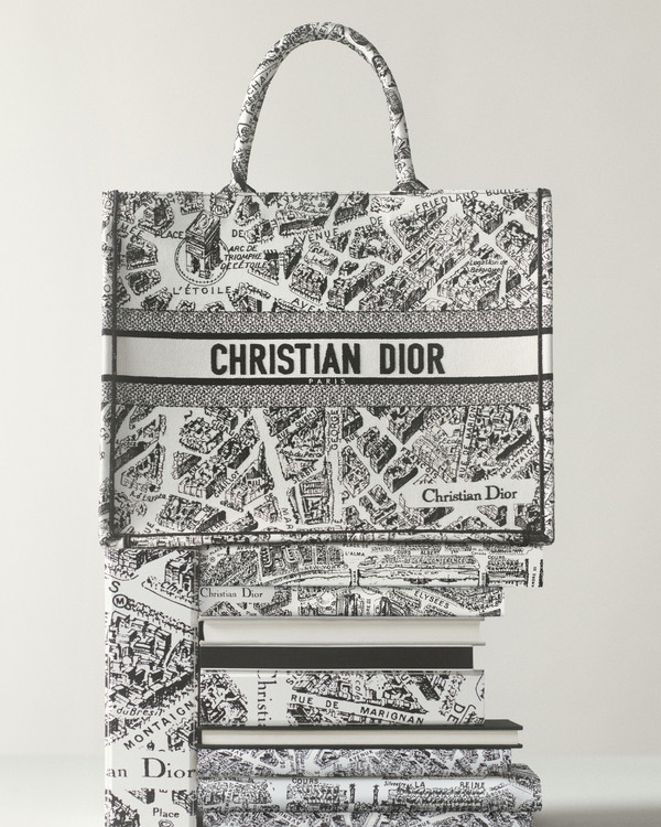 Dior Book Tote - © Lambert | Lambert