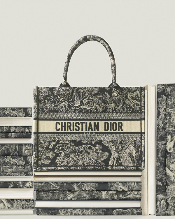 Dior Book Tote - © Lambert | Lambert
