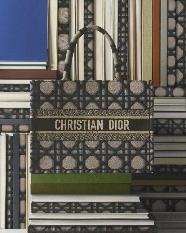 Dior Book Tote - © Lambert | Lambert
