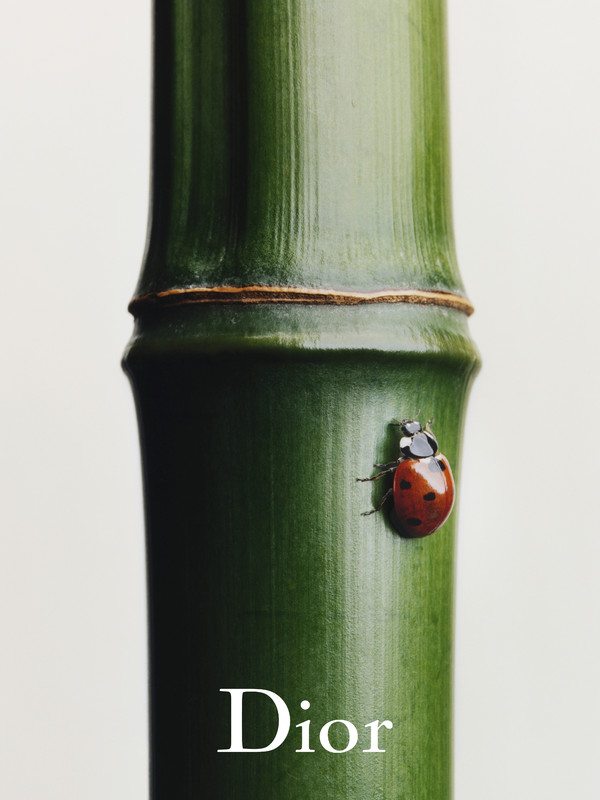 Dior - © Lambert | Lambert