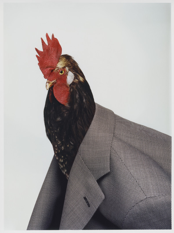 Fursac - © Lambert | Lambert