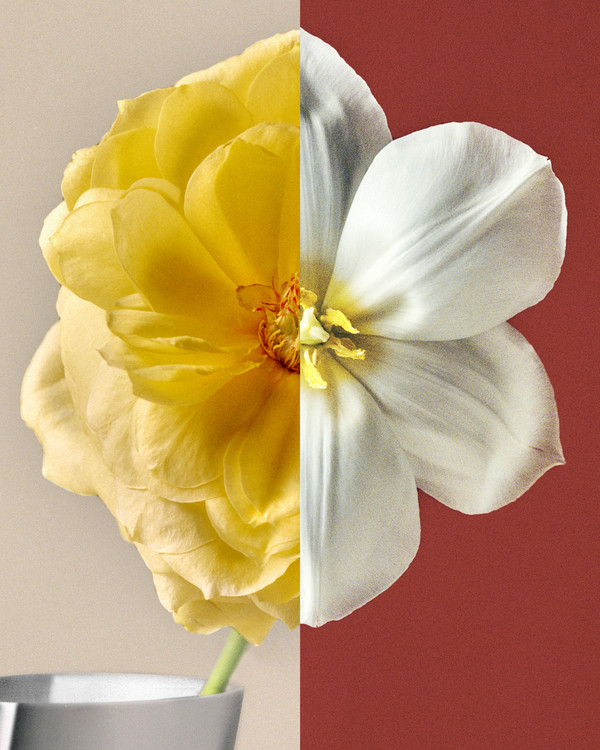 Georg Jensen - © Lambert | Lambert