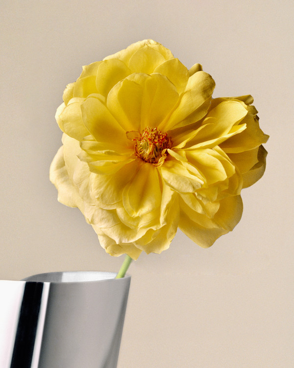 Georg Jensen - © Lambert | Lambert