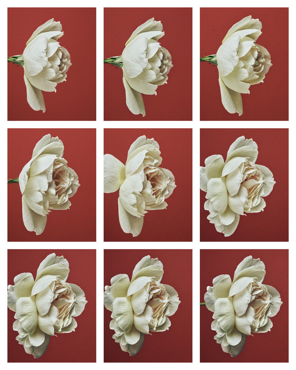 Georg Jensen - © Lambert | Lambert