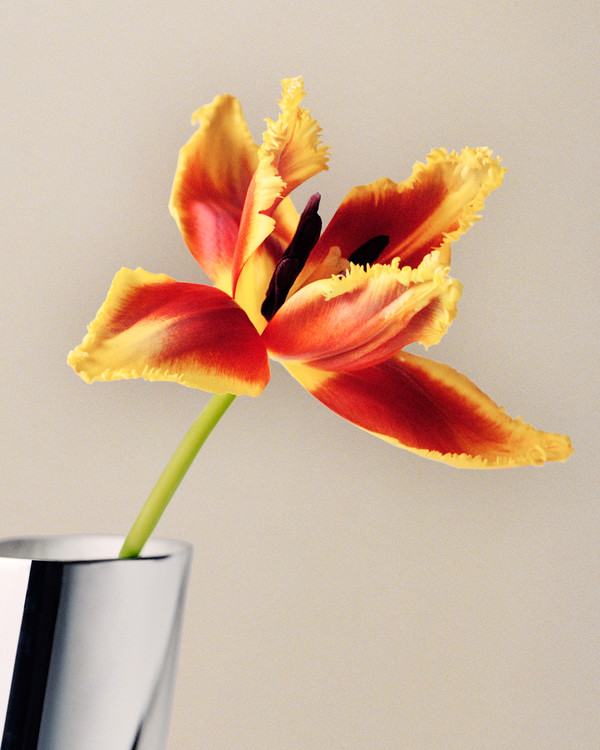 Georg Jensen - © Lambert | Lambert