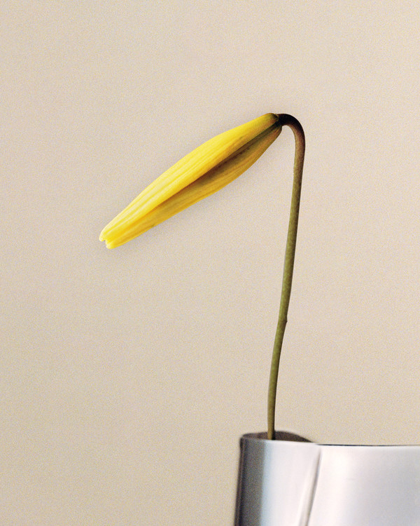 Georg Jensen - © Lambert | Lambert