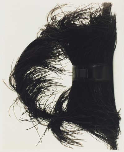 Harper&#8217;s Bazaar USA - © Lambert | Lambert