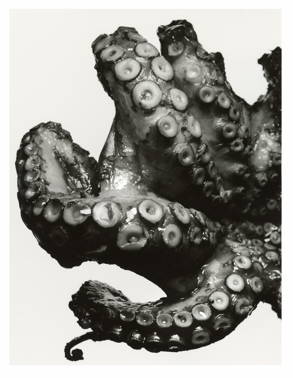 Le Goût de M - © Lambert | Lambert