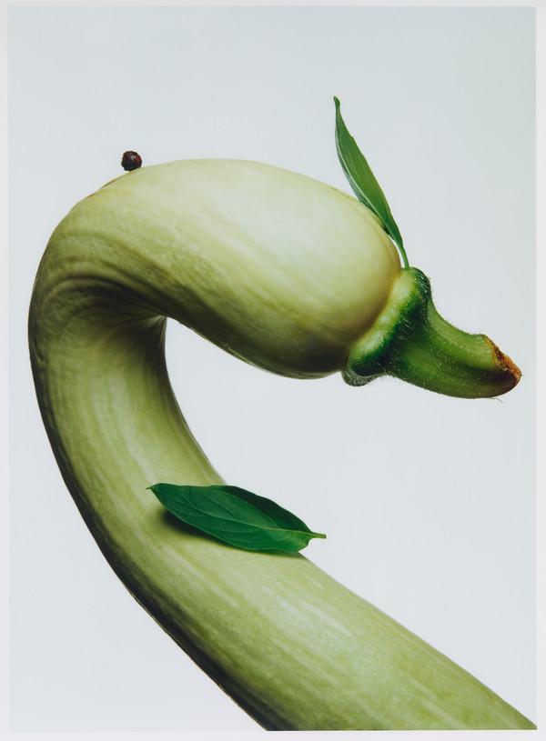 Le Go&ucirc;t de M - © Lambert | Lambert