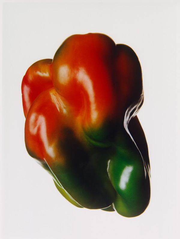 Le Go&ucirc;t de M - © Lambert | Lambert