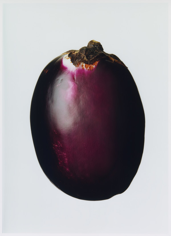 Le Go&ucirc;t de M - © Lambert | Lambert