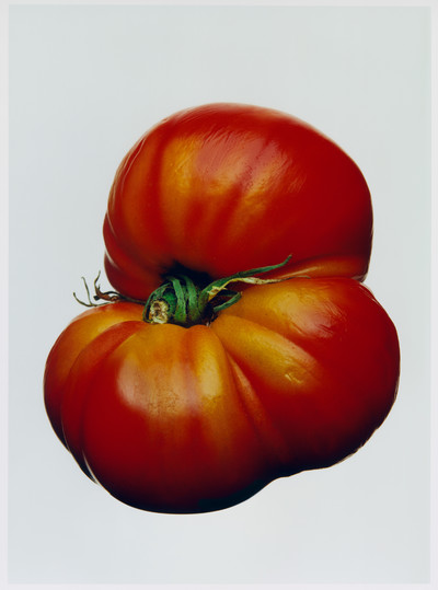 Le Goût de M - © Lambert | Lambert