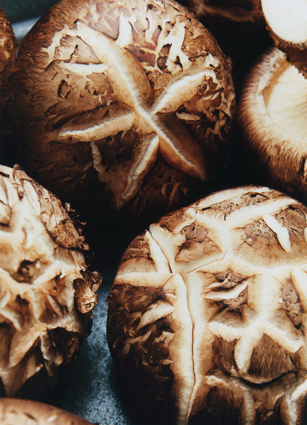 M le Monde - Le gout de M Japon - © Lambert | Lambert