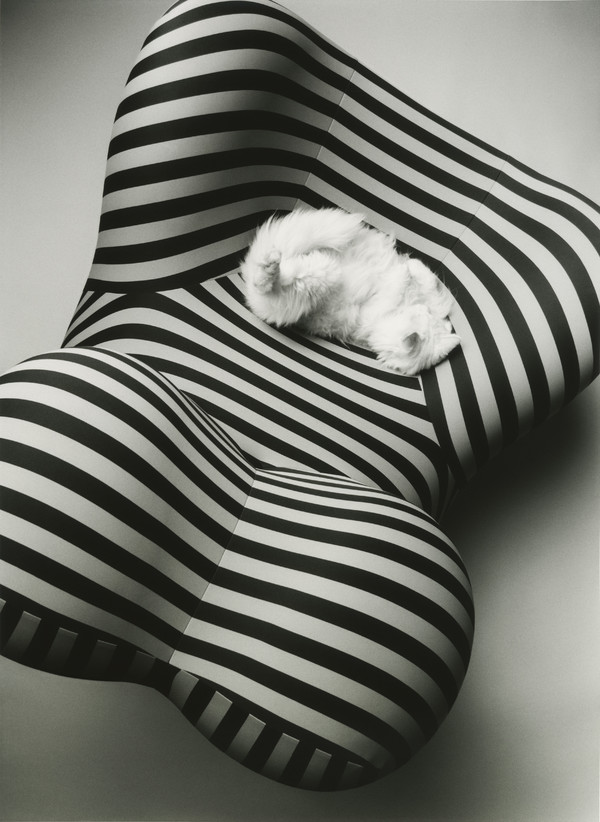 M le Monde - © Lambert | Lambert