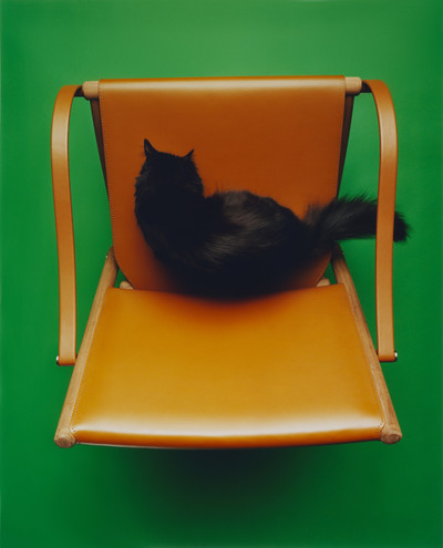 M le Monde - © Lambert | Lambert