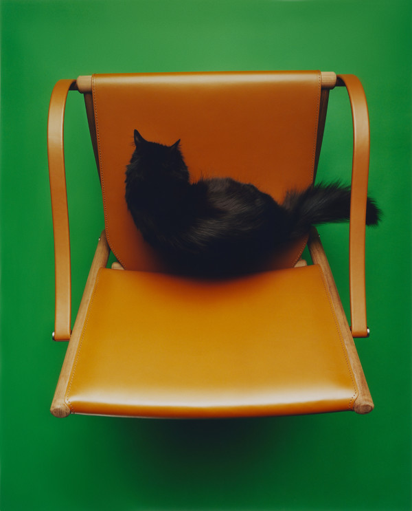 M le Monde - © Lambert | Lambert