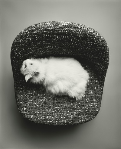 M le Monde - © Lambert | Lambert