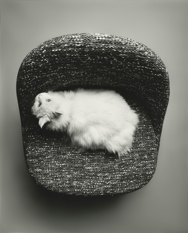 M le Monde - © Lambert | Lambert