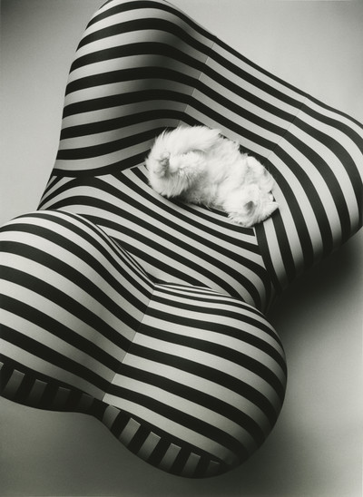 M le Monde - © Lambert | Lambert