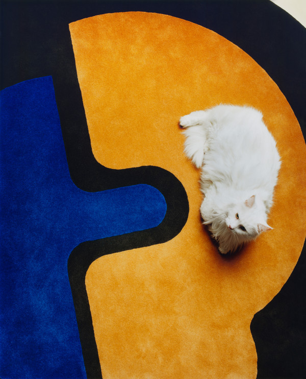 M le Monde - © Lambert | Lambert