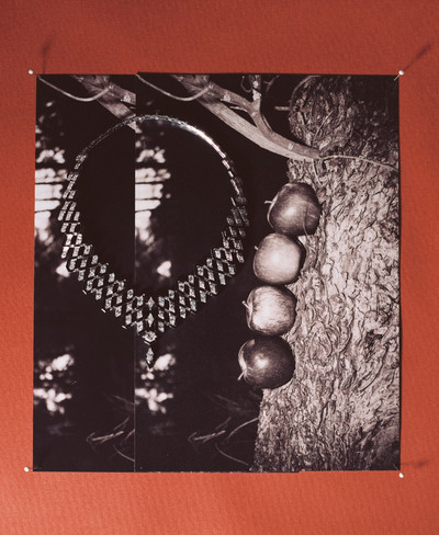 M le Monde - © Lambert | Lambert