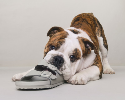 Madhappy X Birkenstock - © Lambert | Lambert