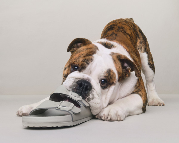 Madhappy X Birkenstock - © Lambert | Lambert
