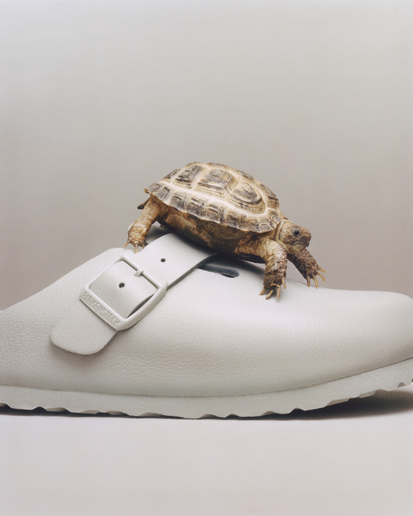 Madhappy X Birkenstock - © Lambert | Lambert