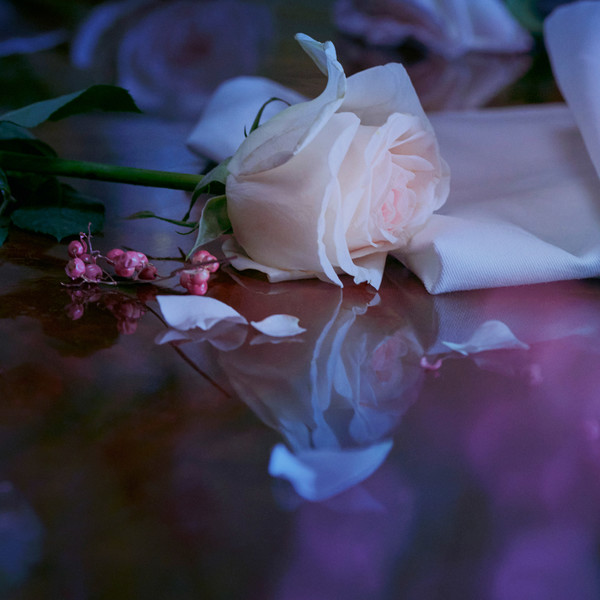 Maison Margiela Fragrances - Up At Dawn - © Lambert | Lambert