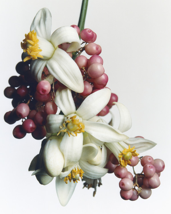 Massimo Dutti - © Lambert | Lambert